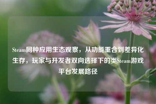 Steam同种应用生态观察，从功能重合到差异化生存，玩家与开发者双向选择下的类Steam游戏平台发展路径