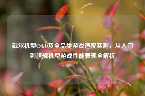 戴尔机型CSGO及全品类游戏适配实测，从入门到旗舰机型游戏性能表现全解析