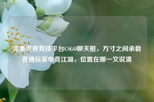 完美世界竞技平台CSGO聊天框，方寸之间承载普通玩家电竞江湖，位置在哪一文说清