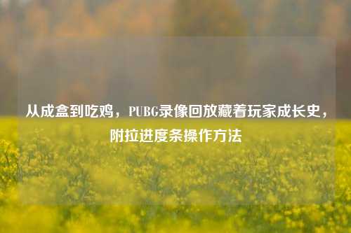 从成盒到吃鸡，PUBG录像回放藏着玩家成长史，附拉进度条操作方法