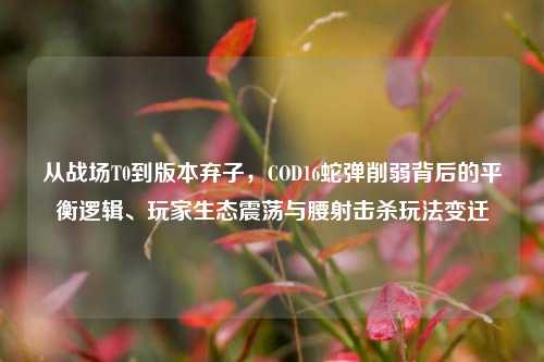 从战场T0到版本弃子，COD16蛇弹削弱背后的平衡逻辑、玩家生态震荡与腰射击杀玩法变迁