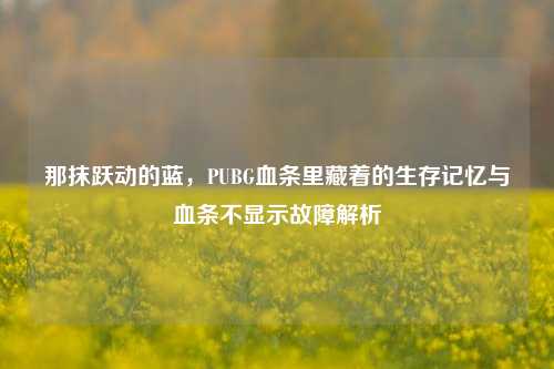 那抹跃动的蓝，PUBG血条里藏着的生存记忆与血条不显示故障解析