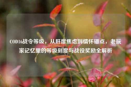 COD16战令等级，从肝度焦虑到情怀锚点，老玩家记忆里的等级刻度与战役奖励全解析