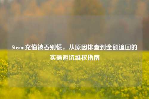 Steam充值被吞别慌，从原因排查到全额追回的实操避坑维权指南