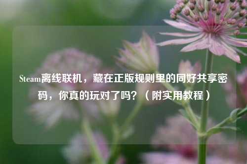 Steam离线联机，藏在正版规则里的同好共享密码，你真的玩对了吗？（附实用教程）