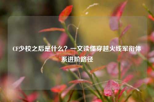 CF少校之后是什么？一文读懂穿越火线军衔体系进阶路径