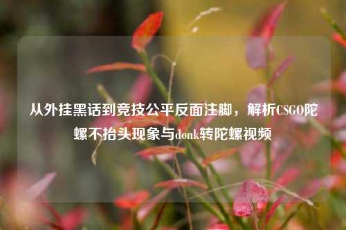 从外挂黑话到竞技公平反面注脚，解析CSGO陀螺不抬头现象与donk转陀螺视频