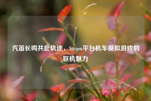 汽笛长鸣共赴轨途，Steam平台机车模拟游戏的联机魅力