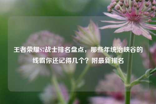 王者荣耀S7战士排名盘点，那些年统治峡谷的线霸你还记得几个？附最新排名
