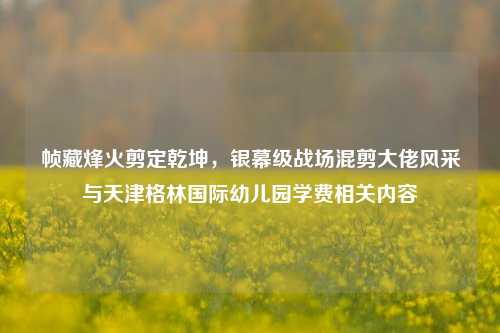 帧藏烽火剪定乾坤，银幕级战场混剪大佬风采与天津格林国际幼儿园学费相关内容