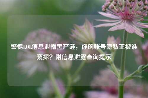 警惕LOL信息泄露黑产链，你的账号隐私正被谁窥探？附信息泄露查询提示