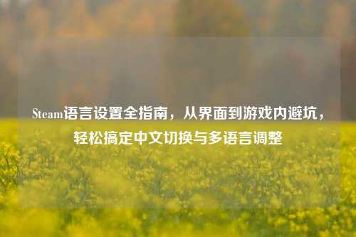 Steam语言设置全指南，从界面到游戏内避坑，轻松搞定中文切换与多语言调整