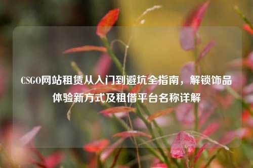 CSGO网站租赁从入门到避坑全指南,解锁饰品体验新方式及租借平台名称详解