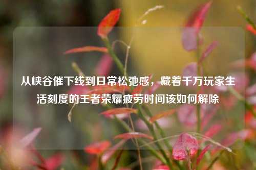 从峡谷催下线到日常松弛感，藏着千万玩家生活刻度的王者荣耀疲劳时间该如何解除