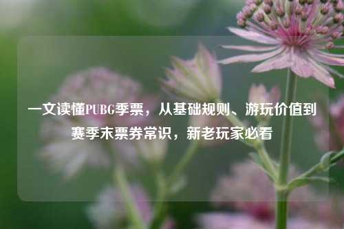 一文读懂PUBG季票，从基础规则、游玩价值到赛季末票券常识，新老玩家必看