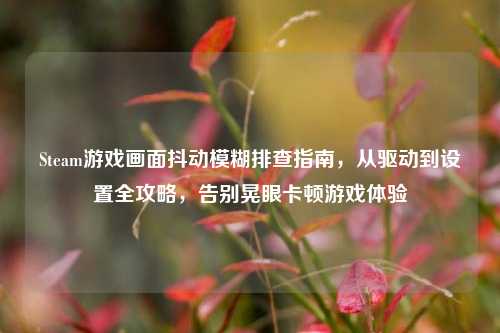 Steam游戏画面抖动模糊排查指南，从驱动到设置全攻略，告别晃眼卡顿游戏体验