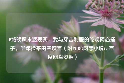 P城晚风未渡现实，我与穿吉利服的吃鸡网恋搭子，半年捡来的空欢喜（附PUBG网恋小说txt百度网盘资源）