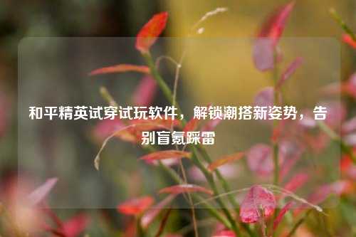 和平精英试穿试玩软件，解锁潮搭新姿势，告别盲氪踩雷