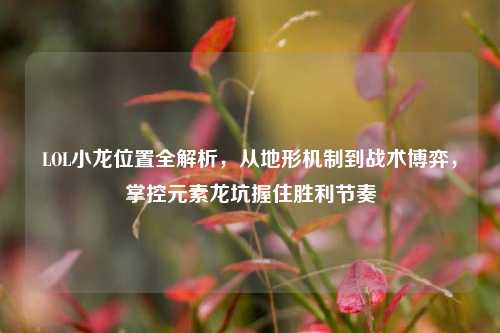 LOL小龙位置全解析,从地形机制到战术博弈,掌控元素龙坑握住胜利节奏
