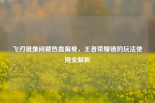 飞刃镜像间藏热血偏爱，王者荣耀镜的玩法使用全解析