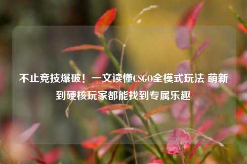 不止竞技爆破！一文读懂CSGO全模式玩法 萌新到硬核玩家都能找到专属乐趣