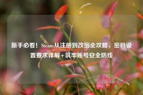 新手必看！Steam从注册到改密全攻略，密码设置要求详解+筑牢账号安全防线