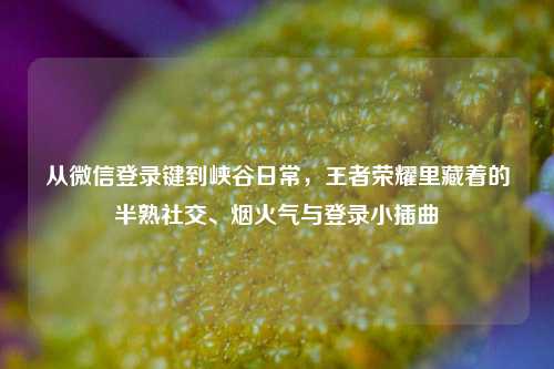 从微信登录键到峡谷日常，王者荣耀里藏着的半熟社交、烟火气与登录小插曲