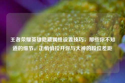 王者荣耀英雄隐藏属性设置技巧，那些你不知道的细节，正悄悄拉开你与大神的段位差距