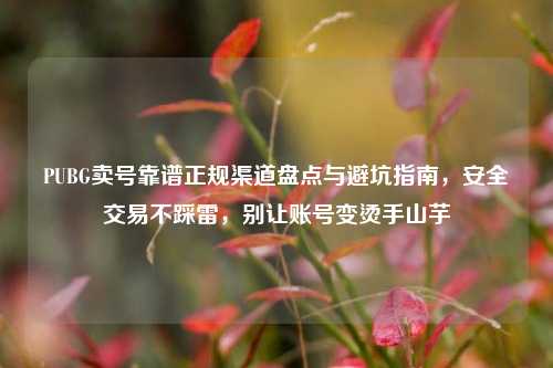 PUBG卖号靠谱正规渠道盘点与避坑指南，安全交易不踩雷，别让账号变烫手山芋
