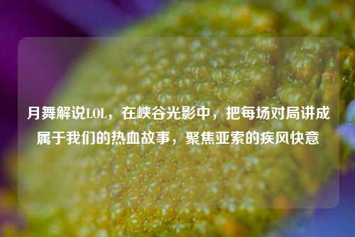 月舞解说LOL，在峡谷光影中，把每场对局讲成属于我们的热血故事，聚焦亚索的疾风快意