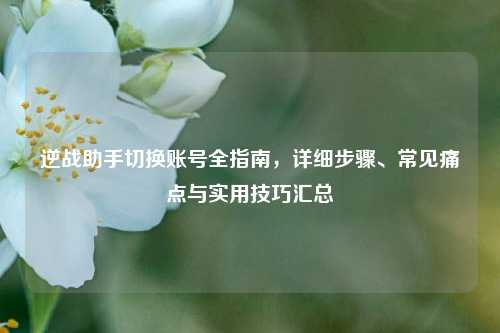 逆战助手切换账号全指南，详细步骤、常见痛点与实用技巧汇总