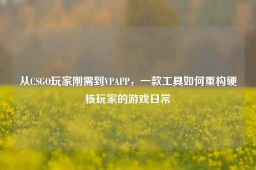 从CSGO玩家刚需到VPAPP，一款工具如何重构硬核玩家的游戏日常