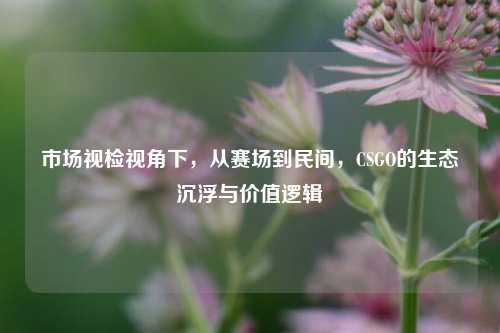 市场视检视角下，从赛场到民间，CSGO的生态沉浮与价值逻辑