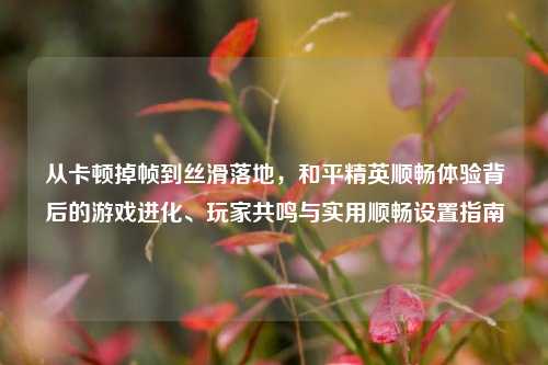 从卡顿掉帧到丝滑落地，和平精英顺畅体验背后的游戏进化、玩家共鸣与实用顺畅设置指南