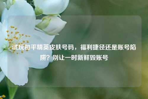 试玩和平精英皮肤号码，福利捷径还是账号陷阱？别让一时新鲜毁账号