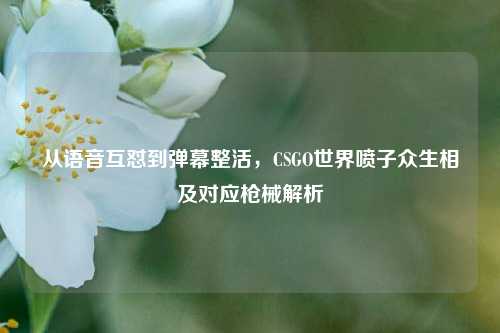 从语音互怼到弹幕整活，CSGO世界喷子众生相及对应枪械解析