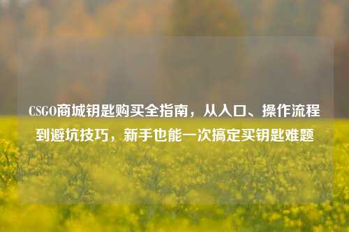 CSGO商城钥匙购买全指南，从入口、操作流程到避坑技巧，新手也能一次搞定买钥匙难题