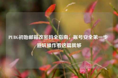 PUBG初始邮箱改密码全指南，账号安全第一步 避坑操作看这篇就够
