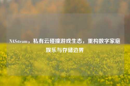 NASsteam，私有云碰撞游戏生态，重构数字家庭娱乐与存储边界