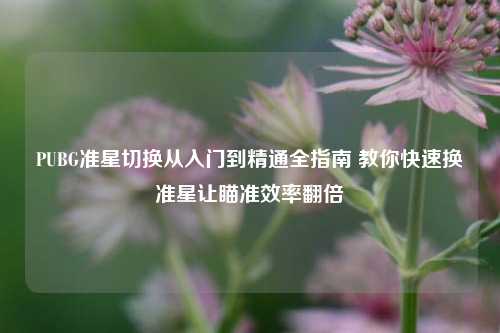 PUBG准星切换从入门到精通全指南 教你快速换准星让瞄准效率翻倍