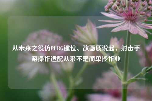 从未来之役仿PUBG键位、改画质说起，射击手游操作适配从来不是简单抄作业