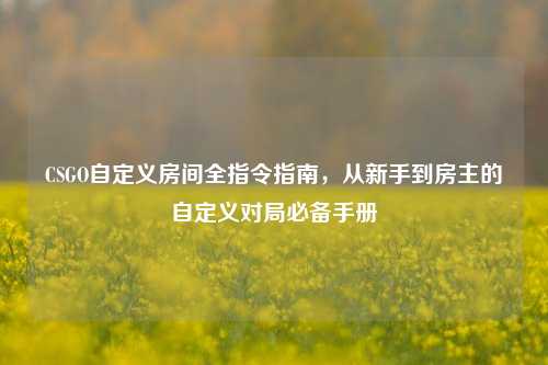 CSGO自定义房间全指令指南，从新手到房主的自定义对局必备手册
