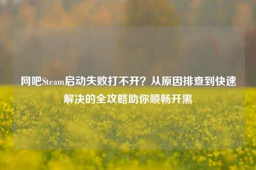 网吧Steam启动失败打不开？从原因排查到快速解决的全攻略助你顺畅开黑