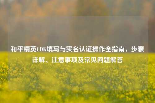 和平精英CDK填写与实名认证操作全指南，步骤详解、注意事项及常见问题解答