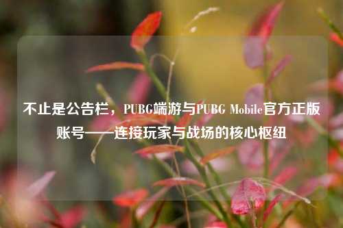 不止是公告栏，PUBG端游与PUBG Mobile官方正版账号——连接玩家与战场的核心枢纽