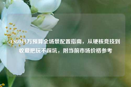 CSGO八万预算全场景配置指南,从硬核竞技到收藏把玩不踩坑,附当前市场价格参考