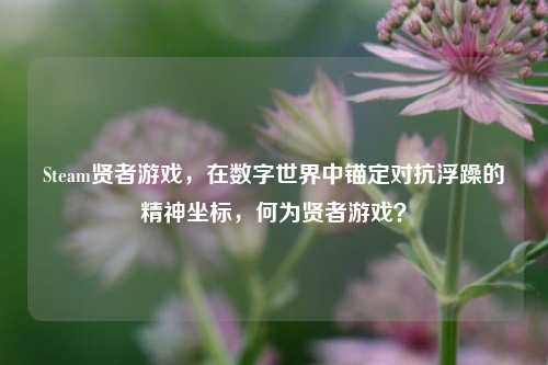 Steam贤者游戏，在数字世界中锚定对抗浮躁的精神坐标，何为贤者游戏？