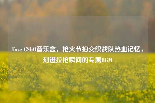 Faze CSGO音乐盒，枪火节拍交织战队热血记忆，刻进拉枪瞬间的专属BGM