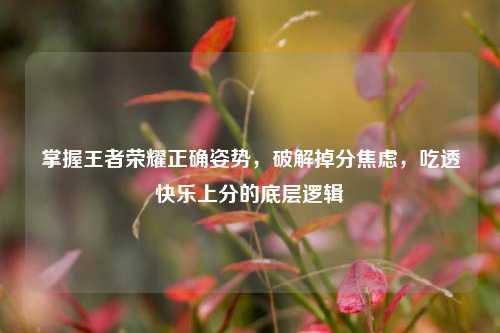 掌握王者荣耀正确姿势，破解掉分焦虑，吃透快乐上分的底层逻辑
