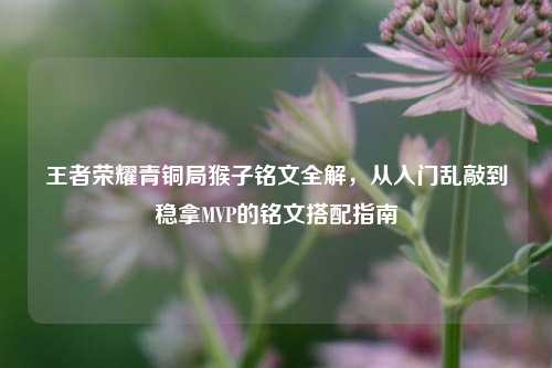 王者荣耀青铜局猴子铭文全解，从入门乱敲到稳拿MVP的铭文搭配指南